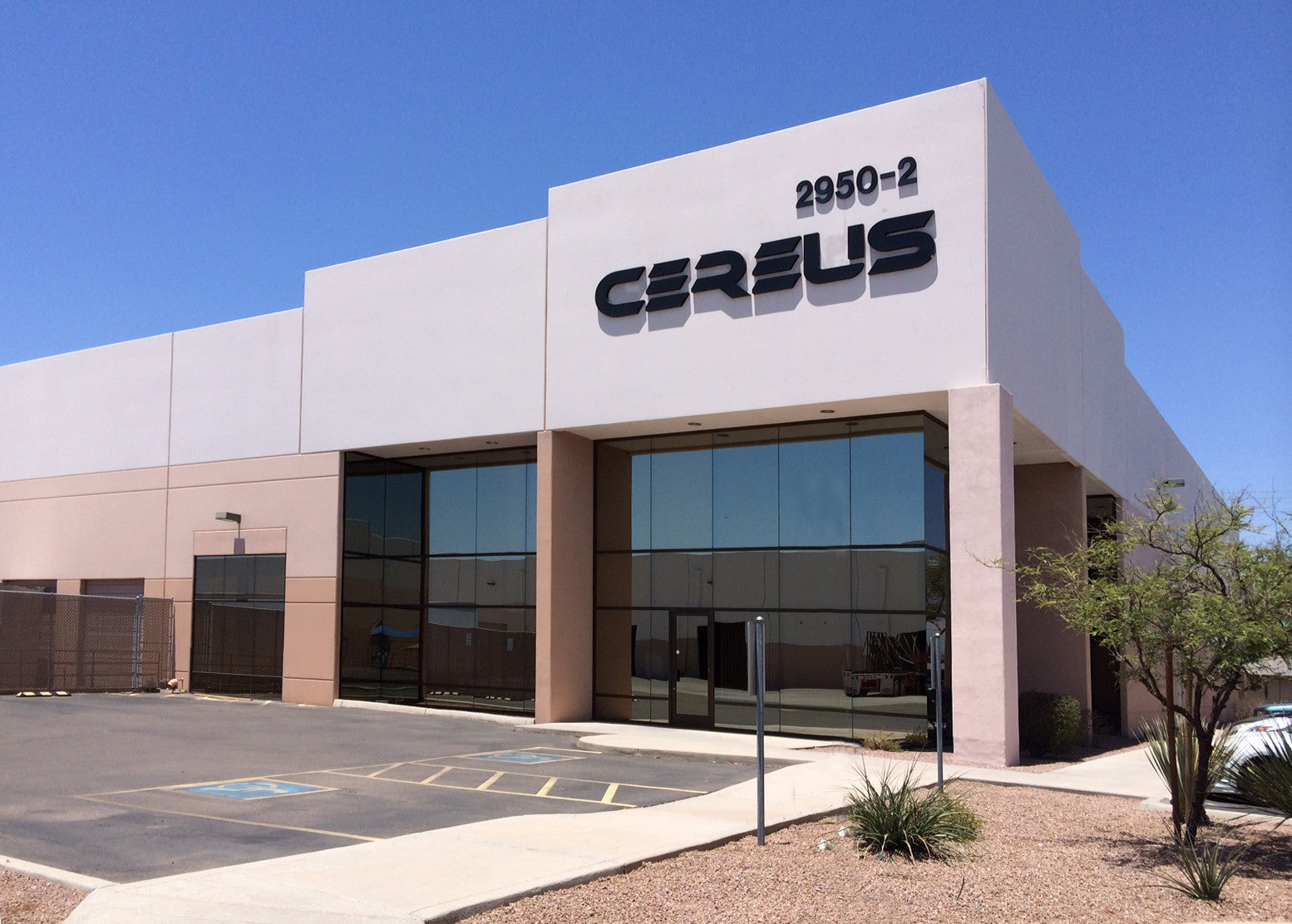 Vendor Spotlight: Cereus Graphics